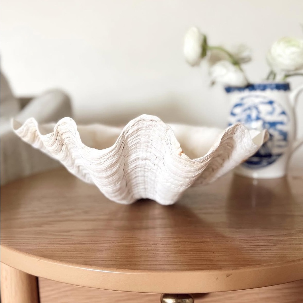 Elegant White Clamshell Decorative Bowl